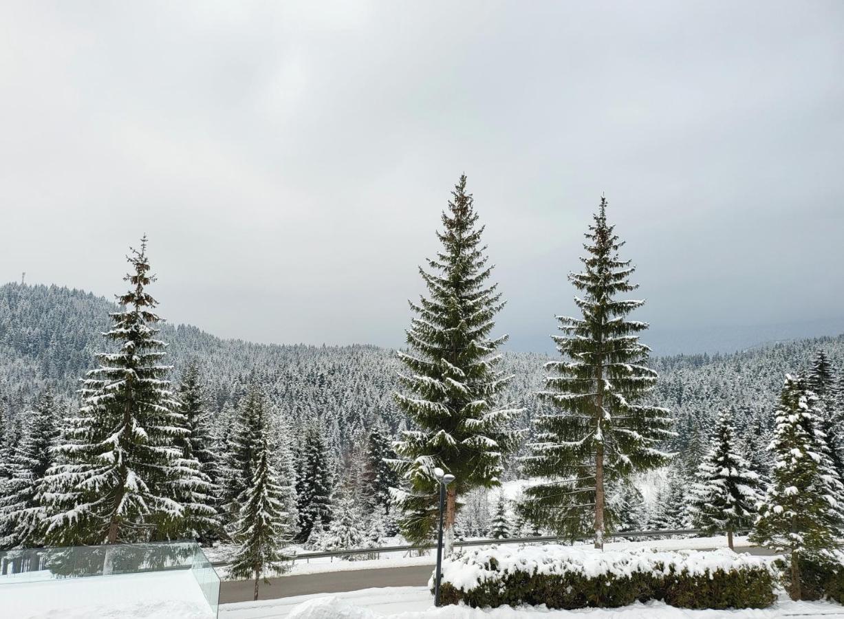 Hotel Forest Пале Экстерьер фото